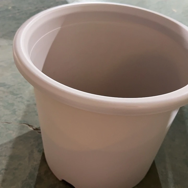 四季9号灰白无托4个特价微瑕