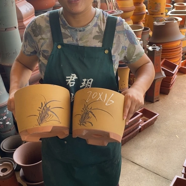 紫砂花盆紫砂花盆盆栽