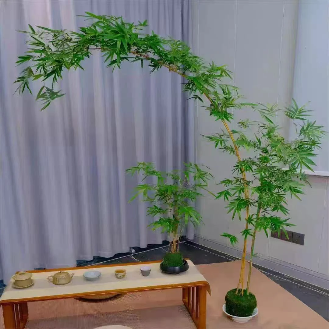 绿植欢红观音竹室内绿植高飘枝意境竹子盆栽落地观赏植物