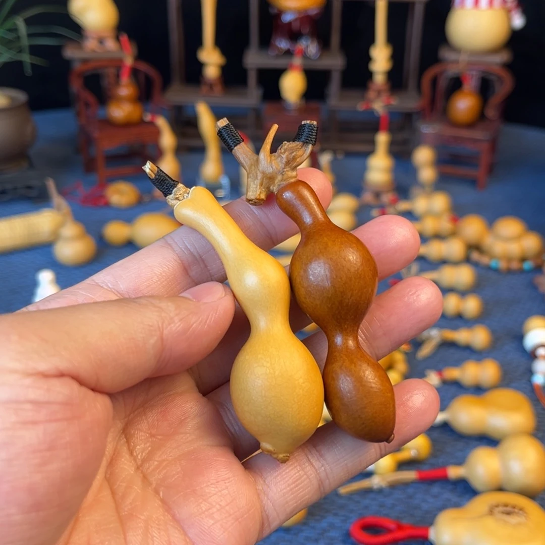 ?*手把小葫芦老皮蚂蚁双脐蚂蚁