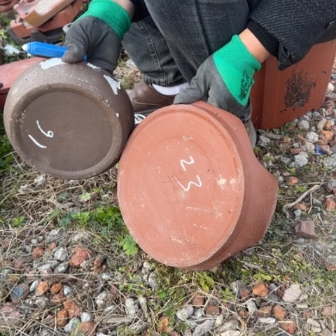 红陶紫砂花盆盆景盆栽