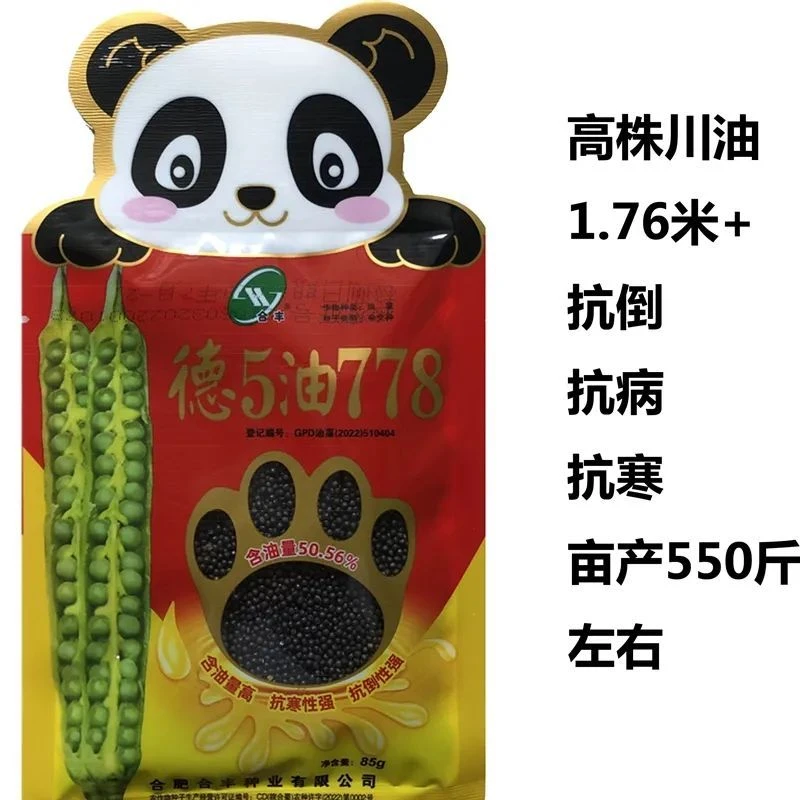 德5油778油菜种子高产油菜种籽抗病耐寒榨油食用菜花种孑出油率高