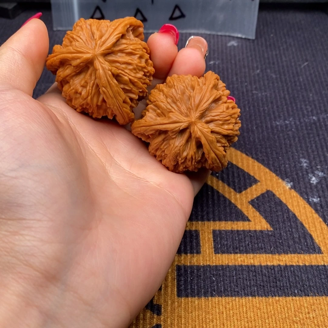 二***哥文玩核桃把件白狮子