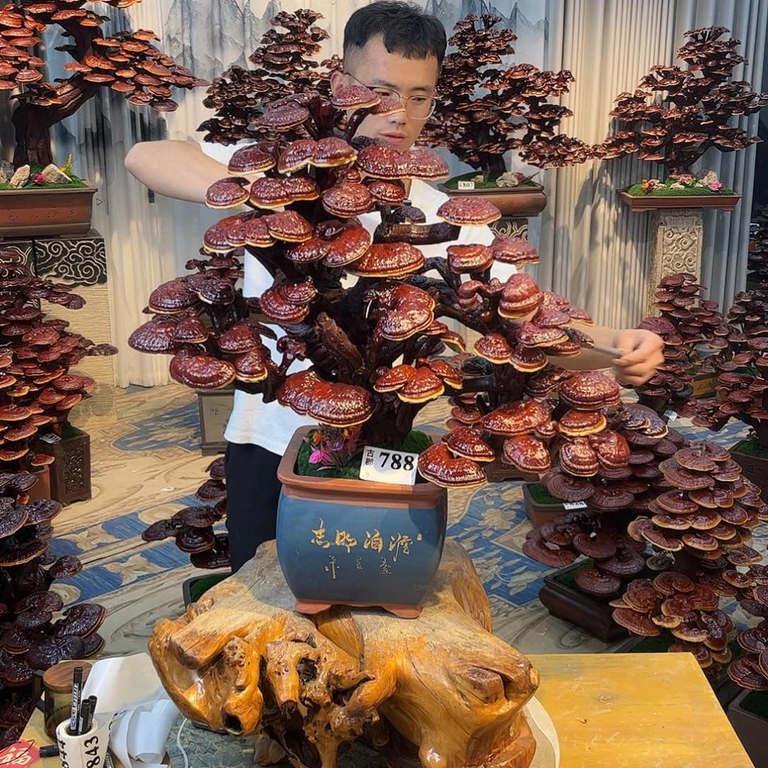 无花朵88888888888