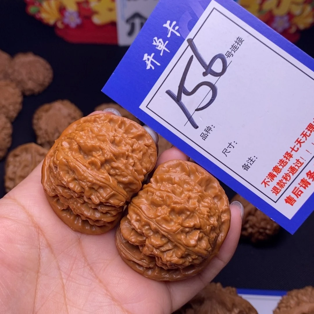 156号链接白狮子4.5尺000000