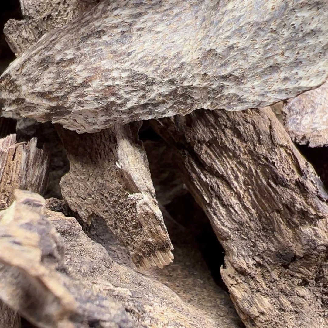 树脂制品麦***包海南国香20 9