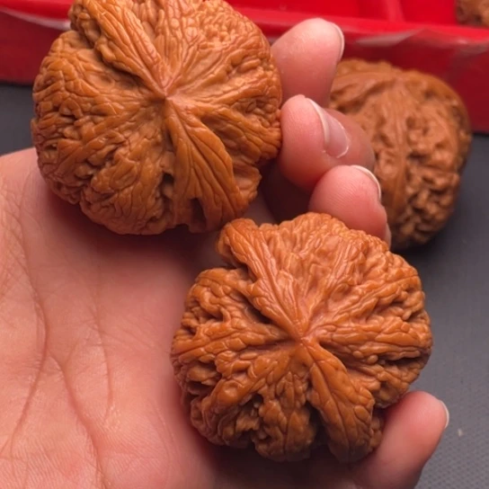 文玩核桃把件秦岭山脉核桃