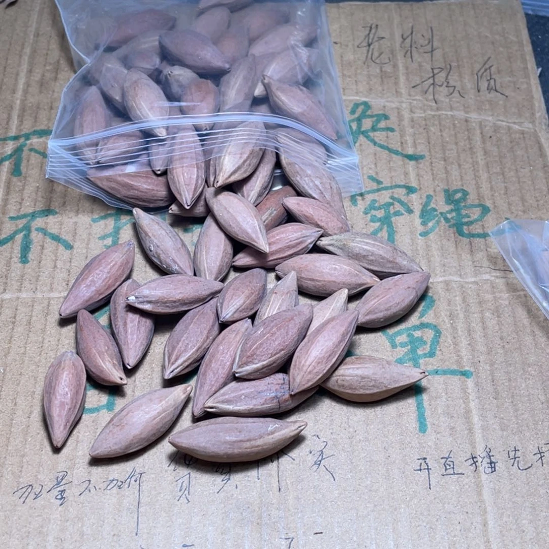 清***渡不退不换qtuo