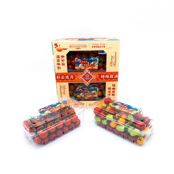 多彩番茄礼盒 1.6kg番茄同城配