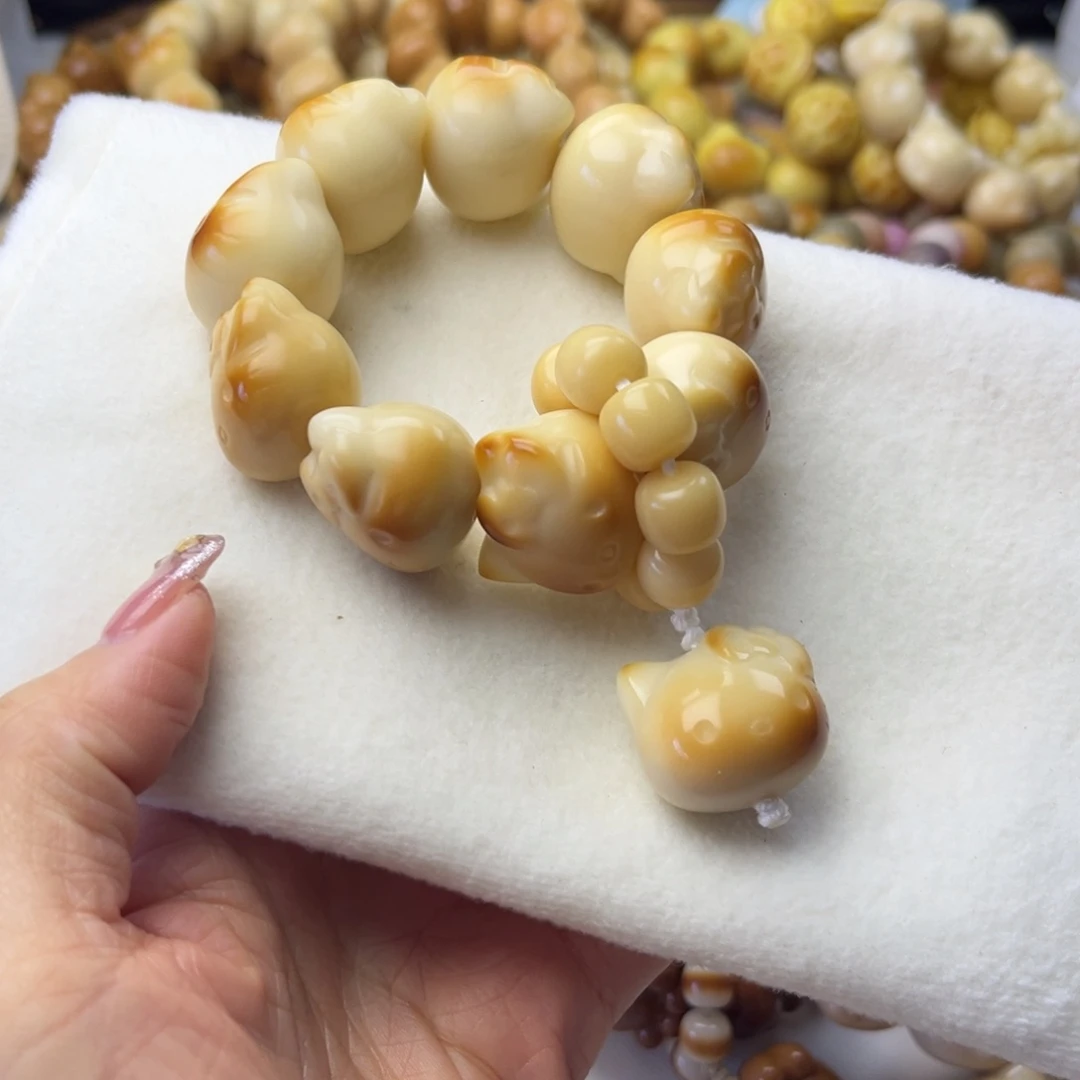 ༺***༻手串菩提根/象牙果象牙果kt猫24mm通货
