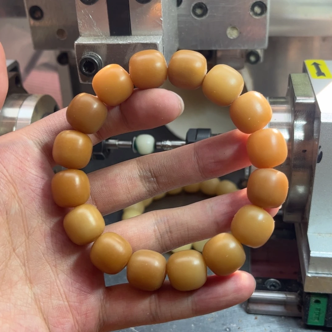 手串菩提根/象牙果