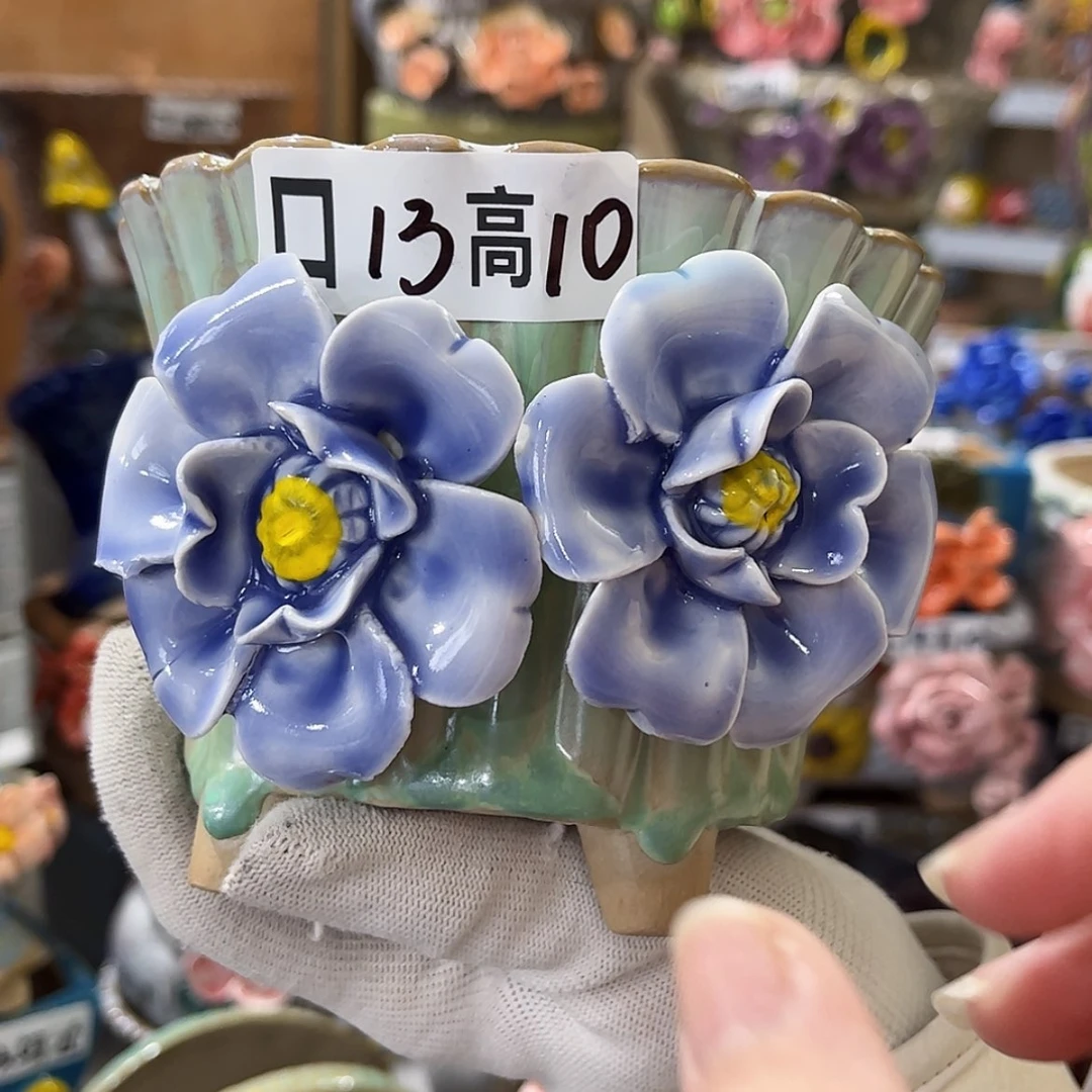 【闪购商品】红陶福利