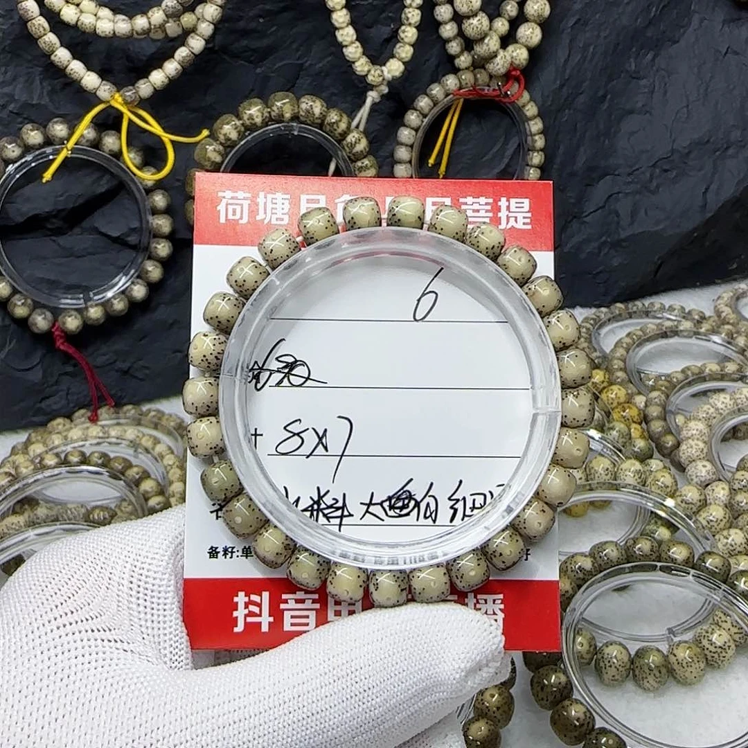 海南荷塘英语菩提6