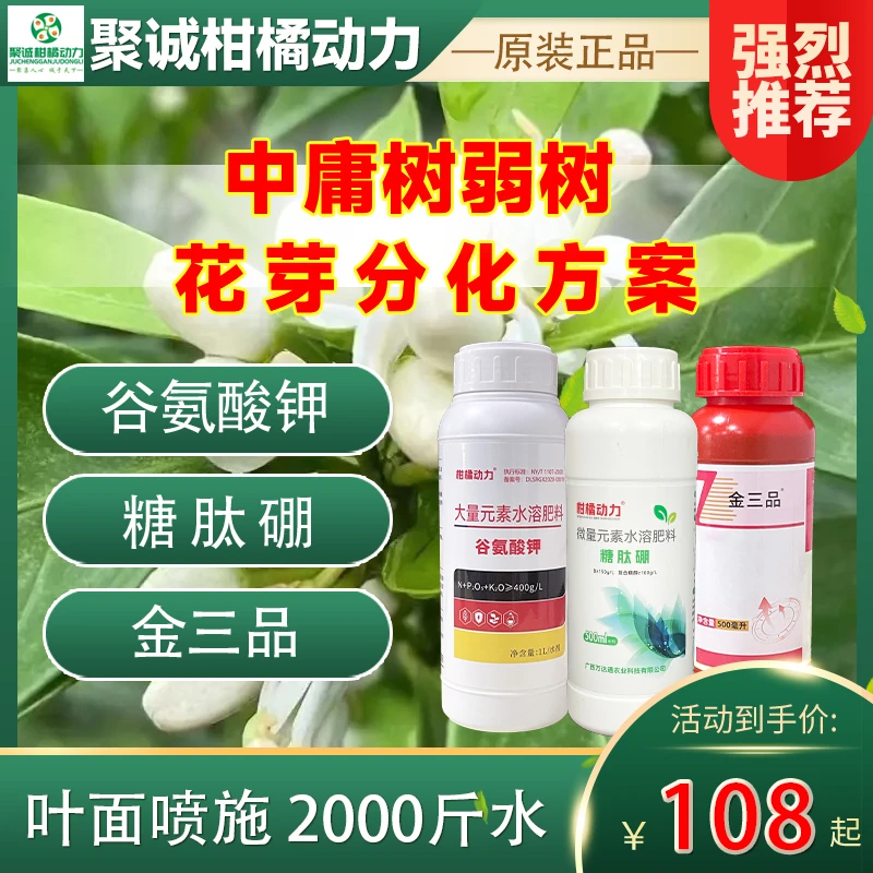 柑橘动力花芽分化方案（促花 壮花 增产）