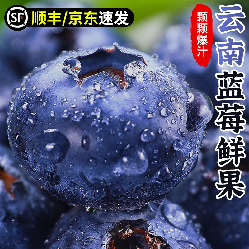 【精品蓝莓】云南蓝莓鲜果新鲜水果16-19mm当季大蓝莓孕妇整箱100g次日达顺丰云南省云南省