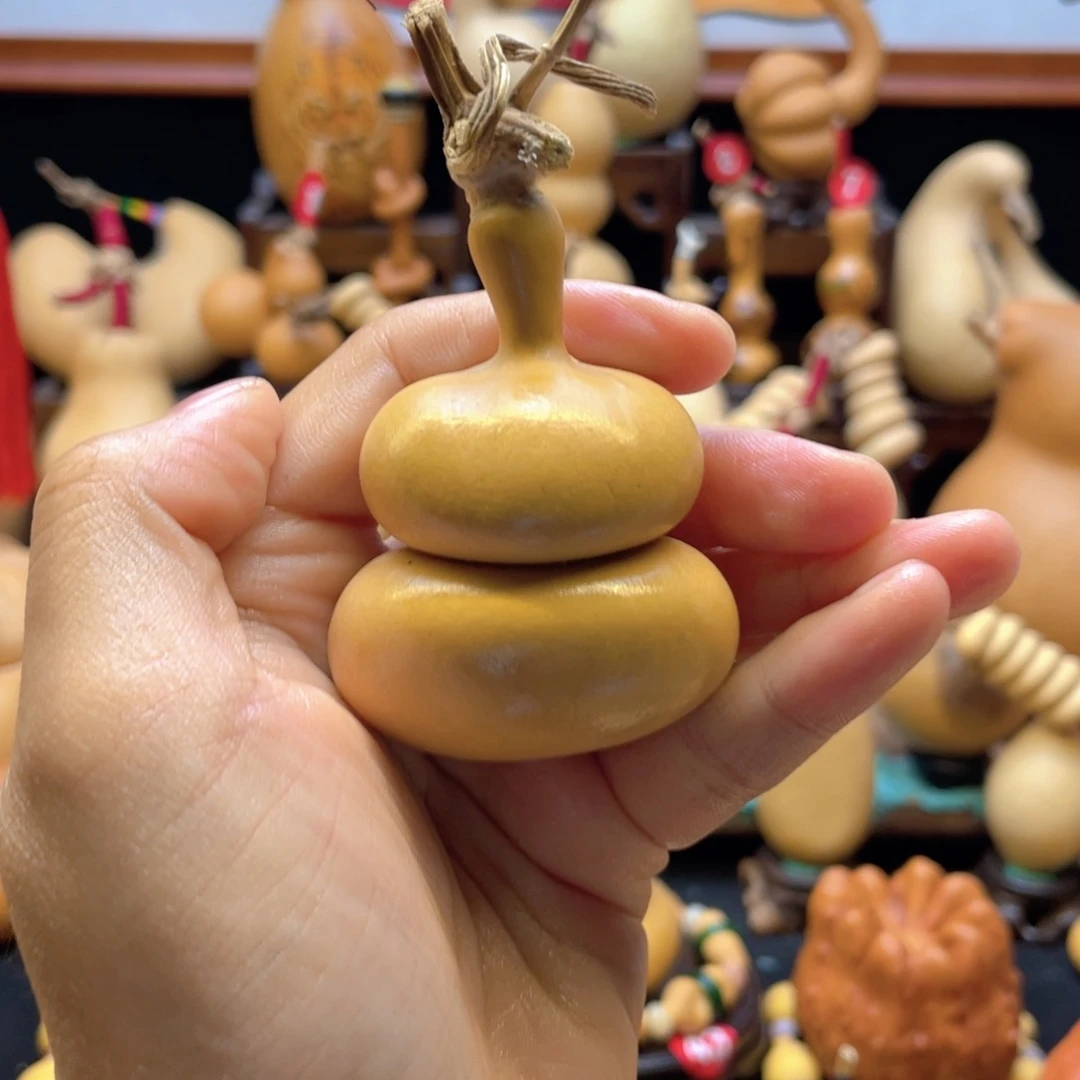 Z**.大自然的秘密第十一节的