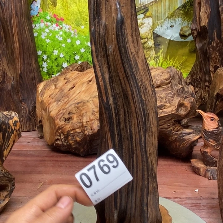 天***蓝木我在外面吃饭了66