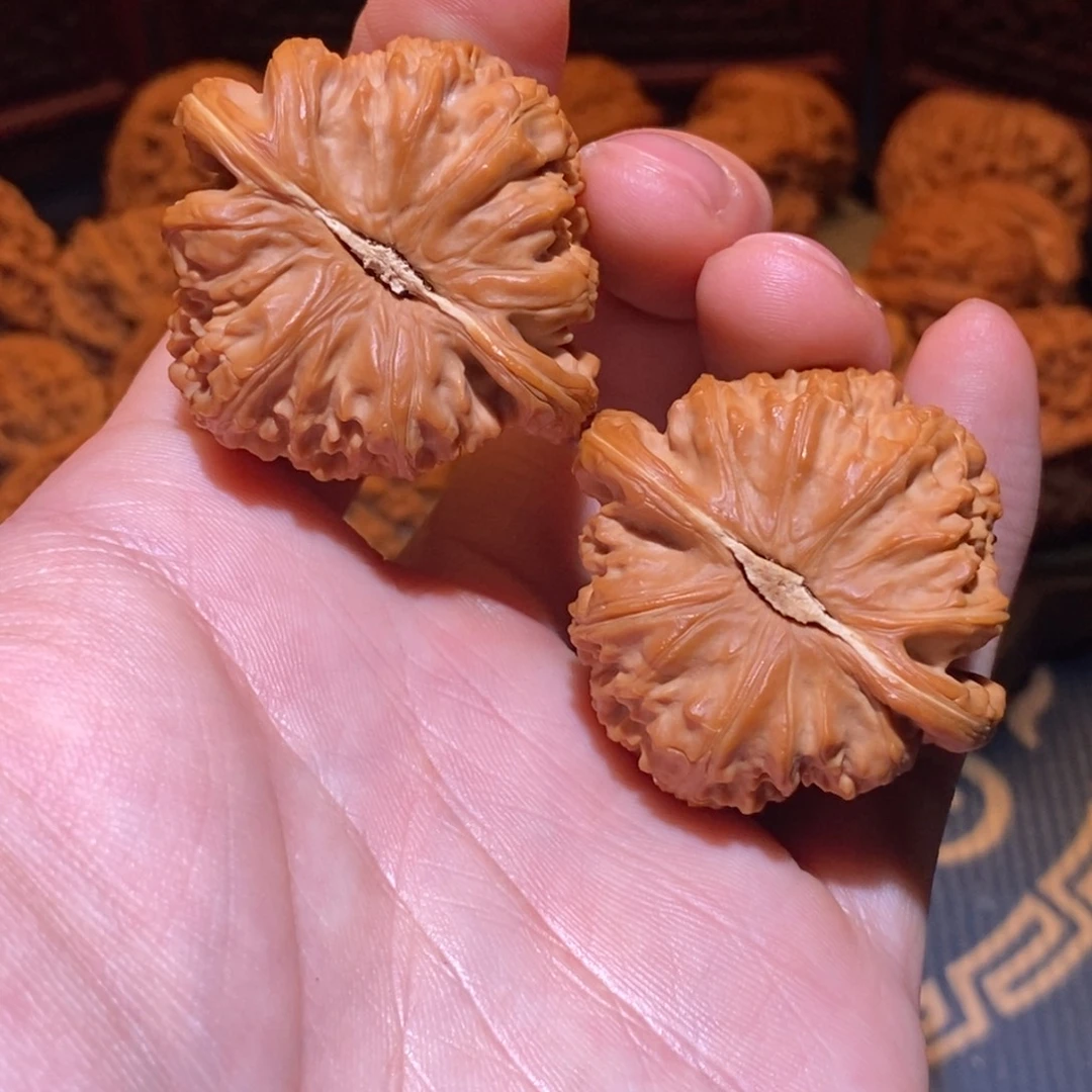 L***-42尺 微修白茬 白狮