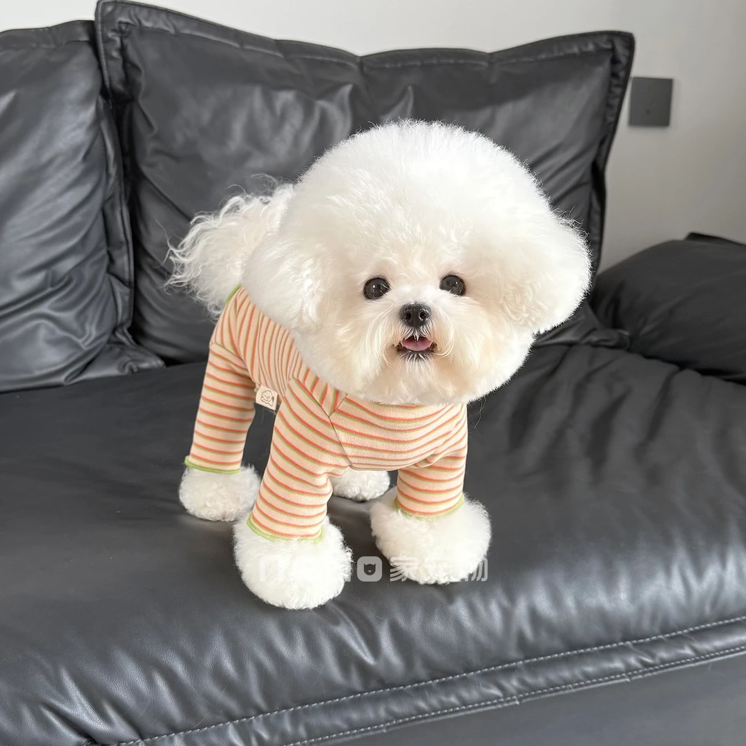 狗狗衣服秋冬新款高领奥呢绒横条纹保暖四脚衣宠物比熊泰迪居家服
