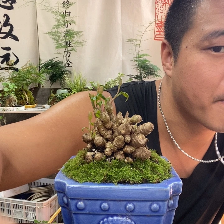 宇***加无花朵退款拉黑拉黑83
