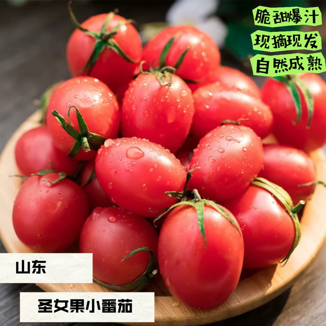 正宗山东千禧圣女果樱桃小番茄新鲜采摘酸甜多汁