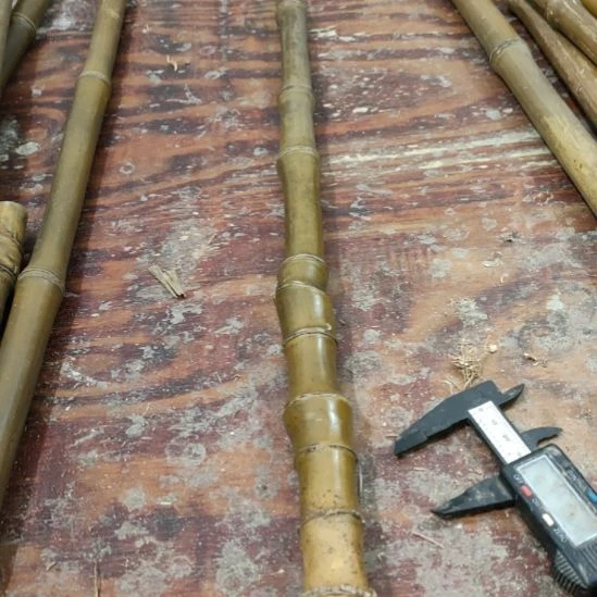 浊***尘实心玉竹手把件金条料