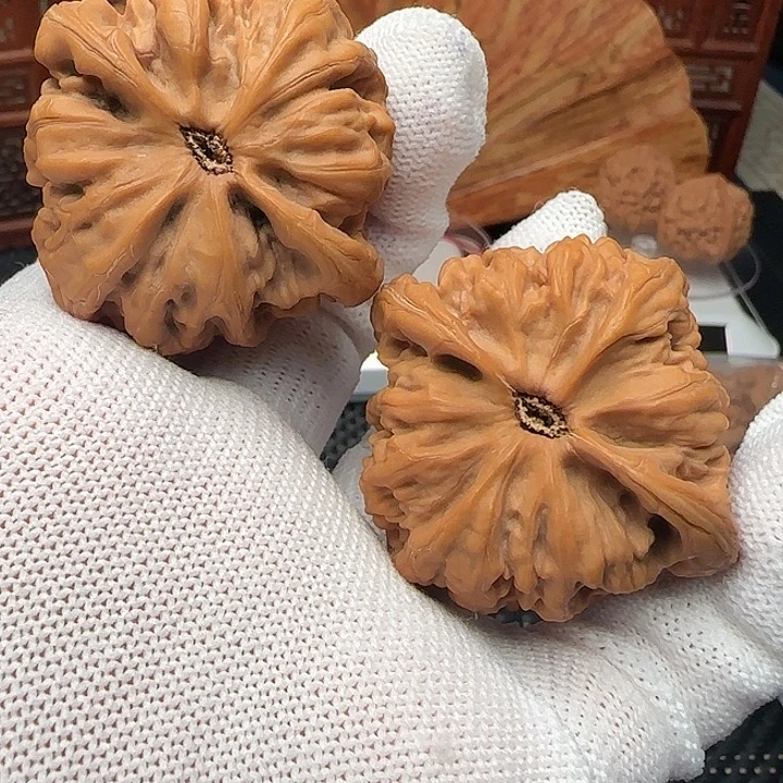 吊坠文玩核桃全品平谷九龙46货头