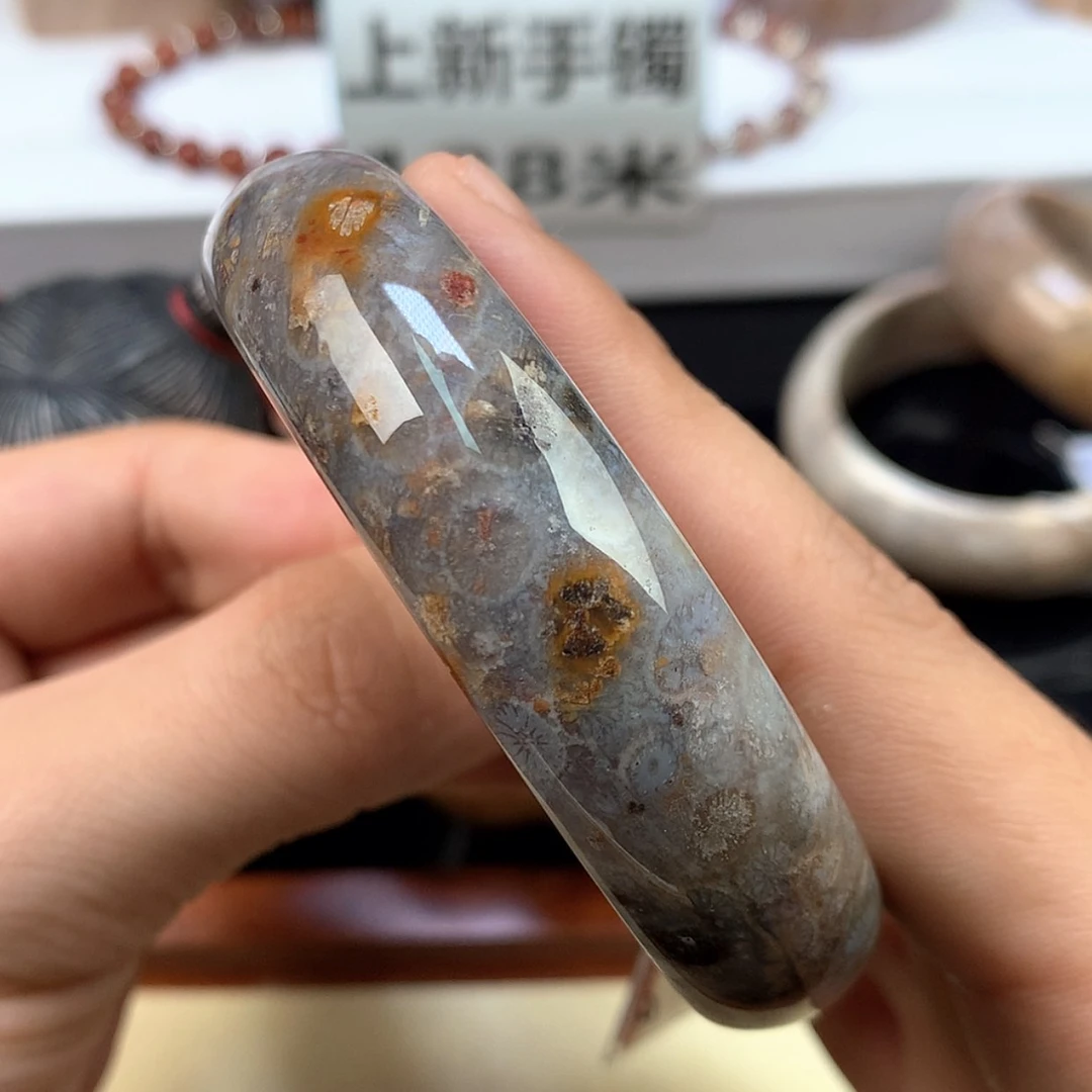 【闪购商品】颈饰未镶嵌硅化珊瑚（珊瑚玉）36号59圈灰蓝