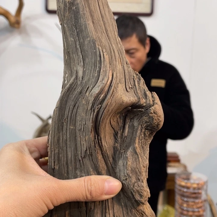 安*吉我们都是好孩子呀