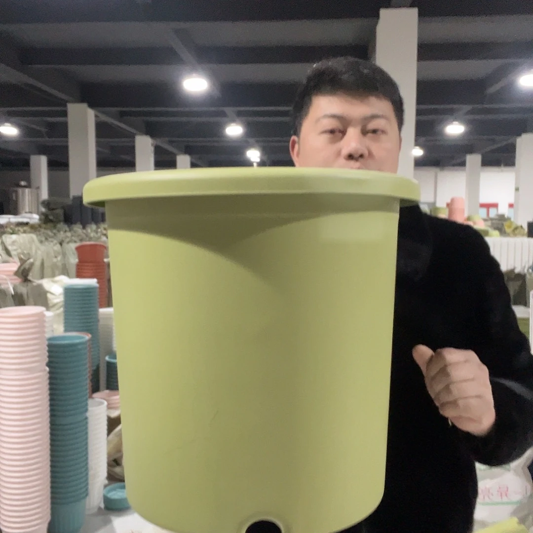 树脂圆7号绿2个无托