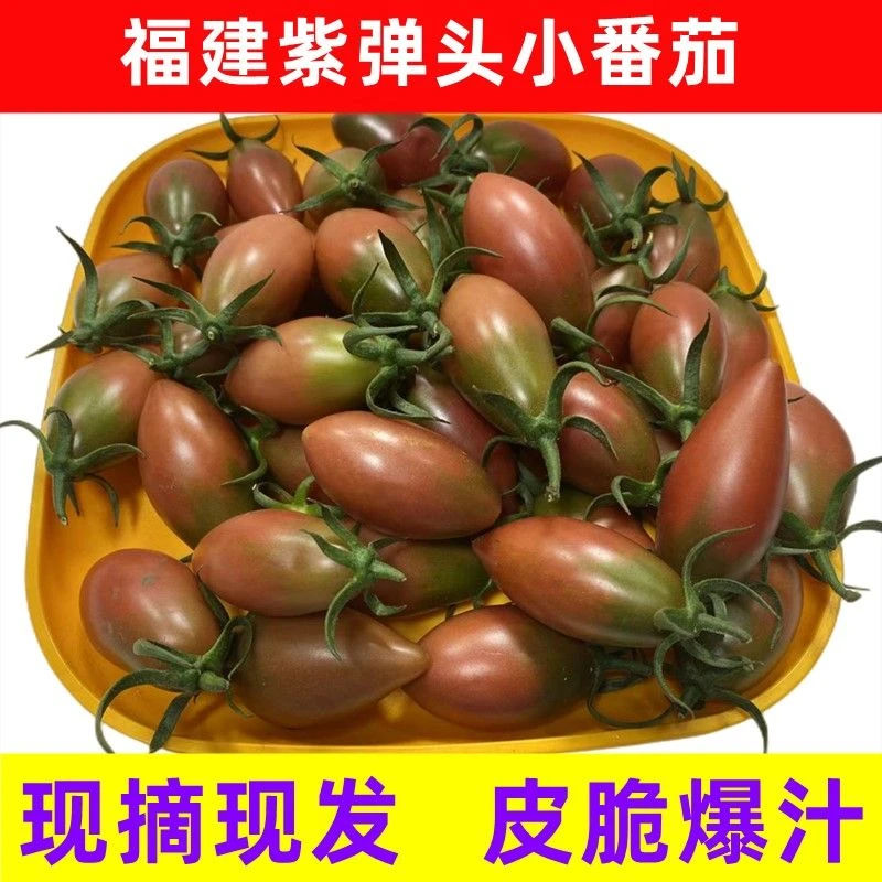 6斤紫弹头小番茄新鲜现摘圣女果应季孕妇水果酸甜多汁迷彩西红柿