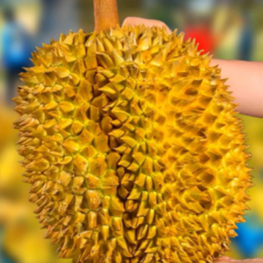 鲜榴莲(一物一拍)3KG-6KG金枕泰国