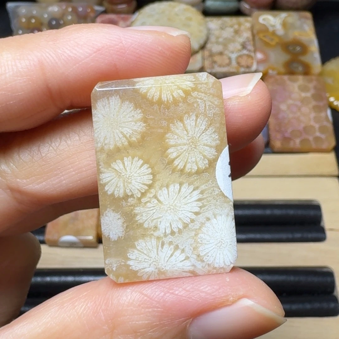 硅化玉黄白大花未镶嵌