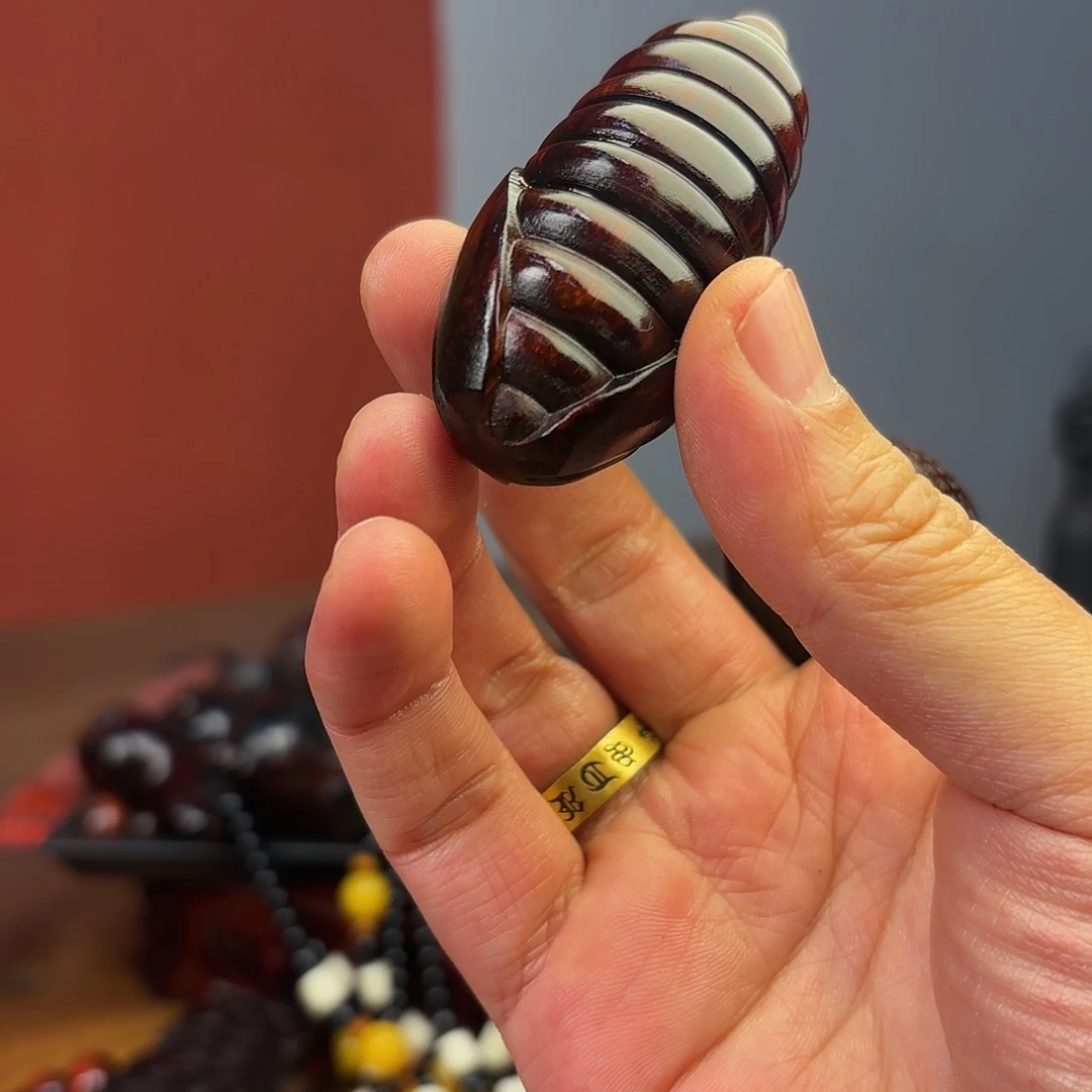 檀香紫檀（小叶紫檀）蛹