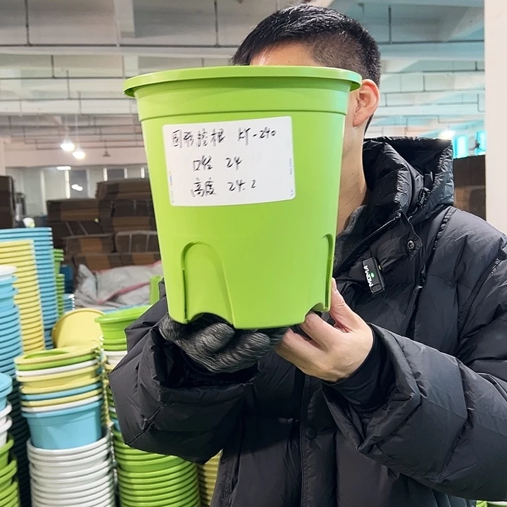 正品圆控口24高24果绿无托5只