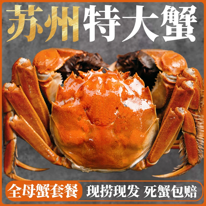 【活蟹】精挑大闸蟹母4.0-3.7两共10只装鲜活冷链包邮YY