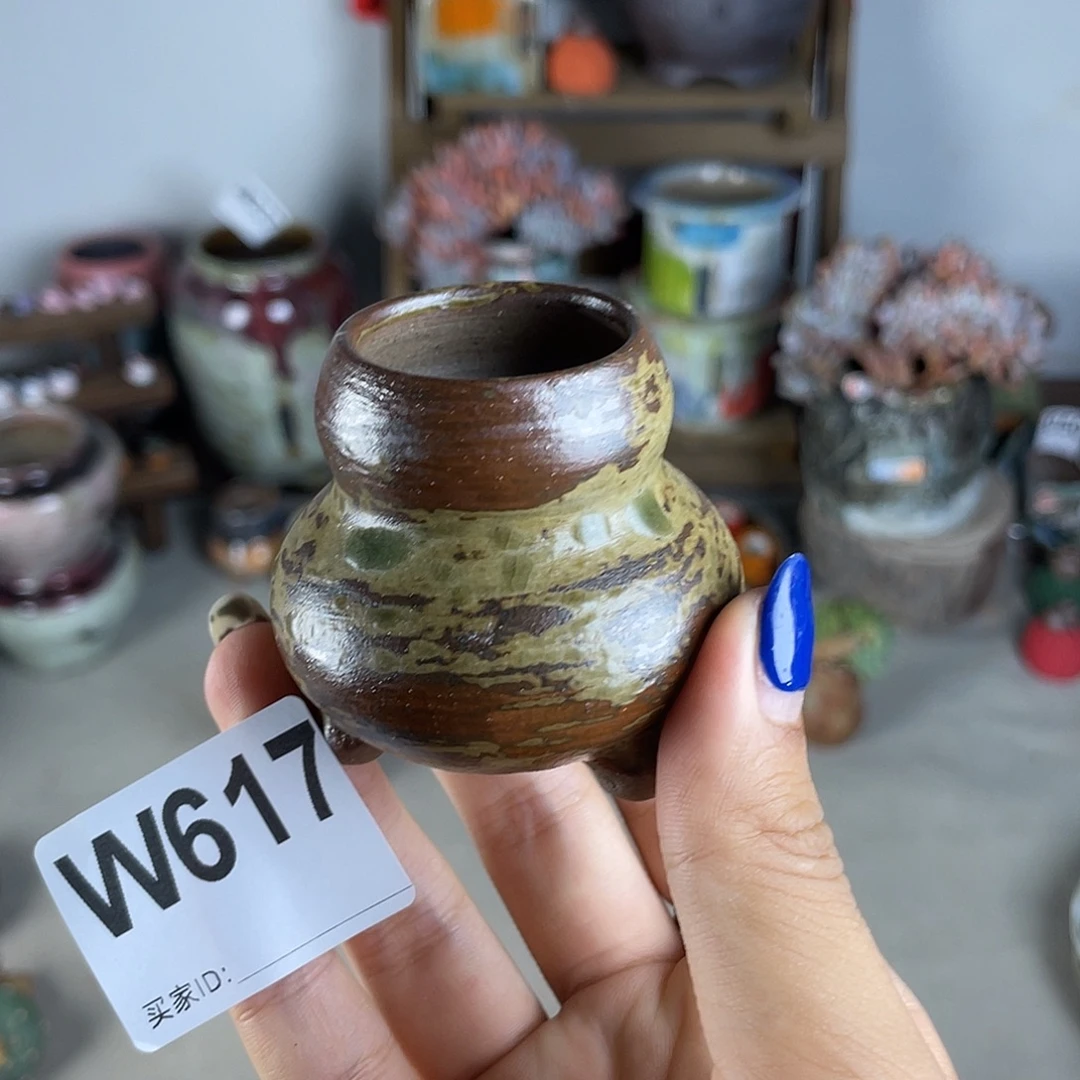 拇指盆 葫芦 内口2.7