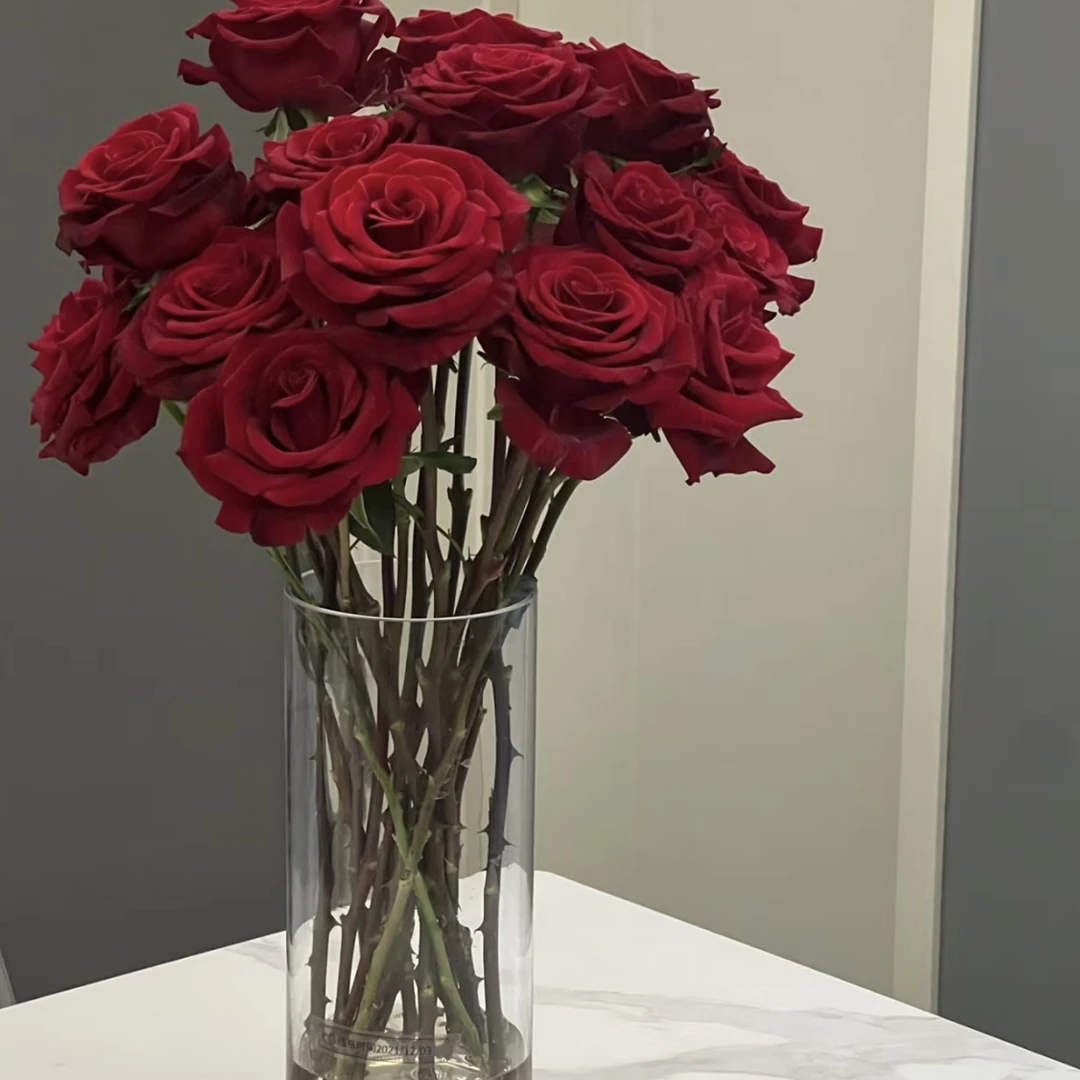 两单包邮！黑魔术玫瑰10支(20%不售后）