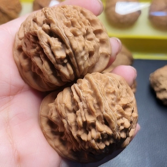 文玩核桃肉楼一对