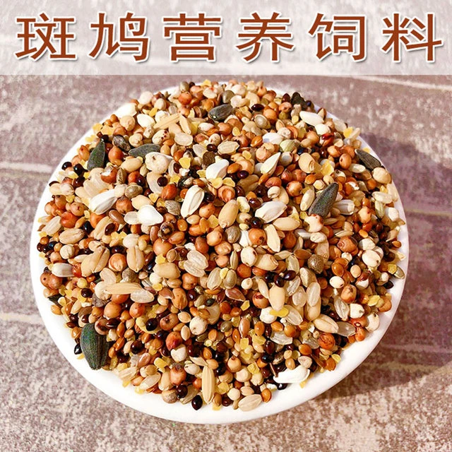 鸽粮营养料鸽子饲料无玉米鸽粮幼鸽信鸽赛鸽斑鸠小颗粒粮鸽粮包邮