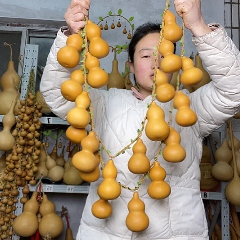 天然植物葫芦文玩