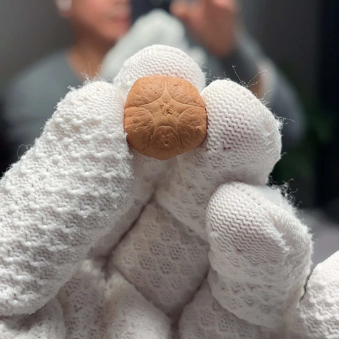 凤眼菩提手串25年尼泊尔19五星