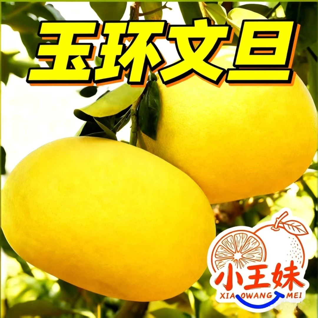 4～18斤玉环文旦柚产地早熟清香浓郁新鲜饱满几乎纯甜水果基地直发