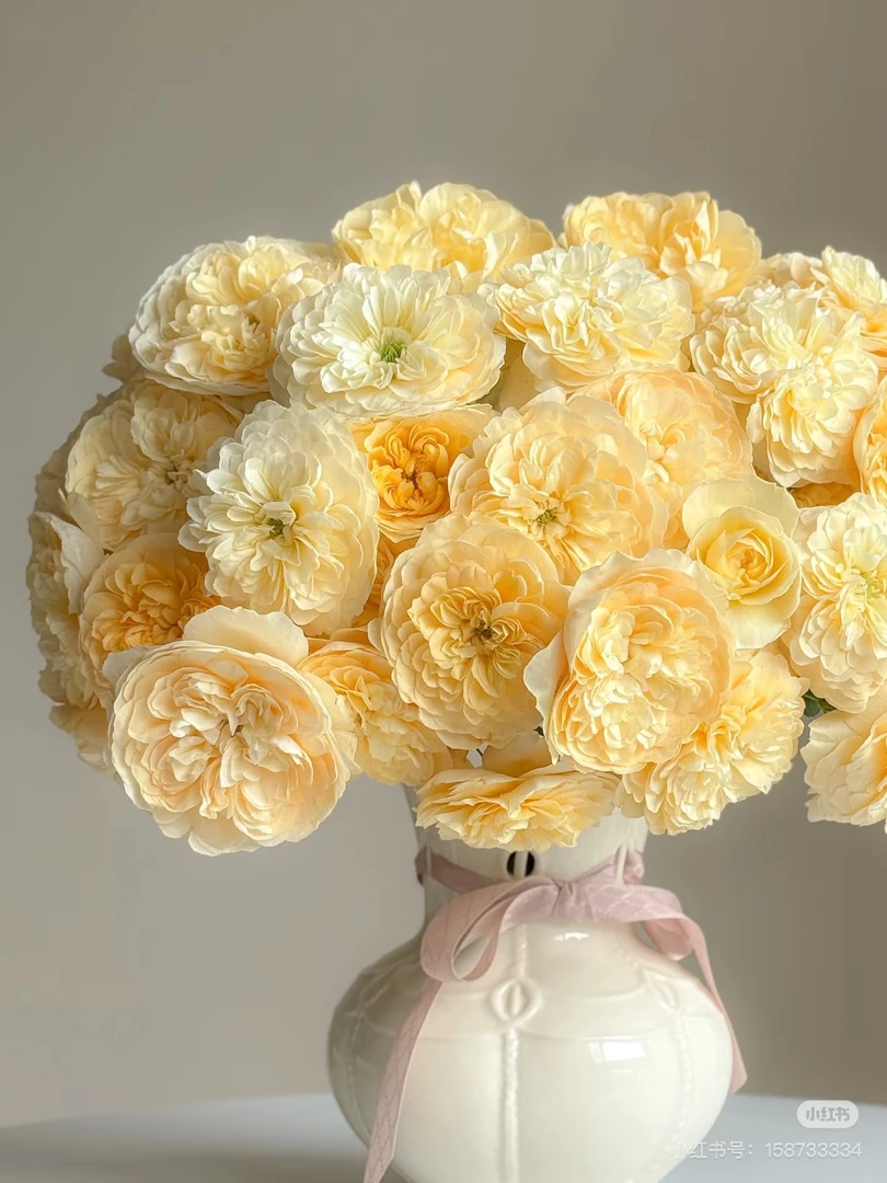 （花物语）蜜柚汁10支！三件顺丰空运20%不售后