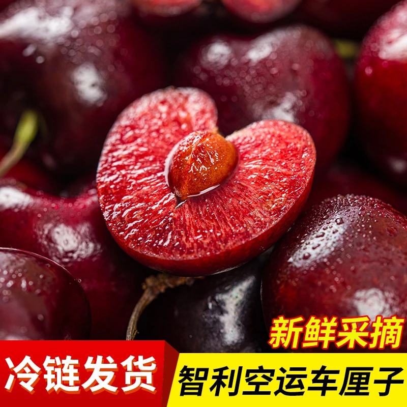 【DS原箱】智利进口海运车厘子J-4J5斤原箱应季水果 内附果径卡