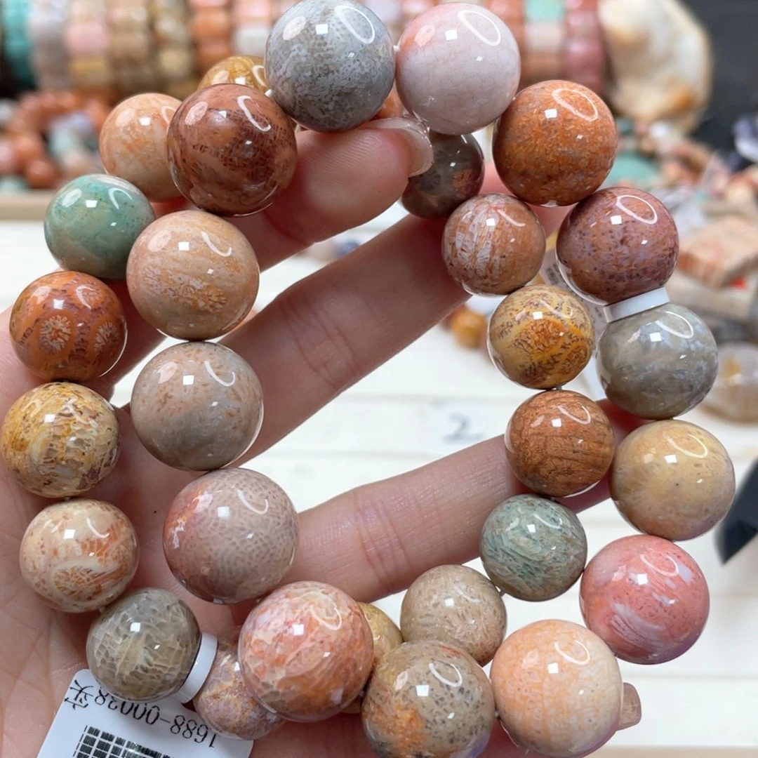 未镶嵌手链硅化珊瑚（珊瑚玉）z*c118