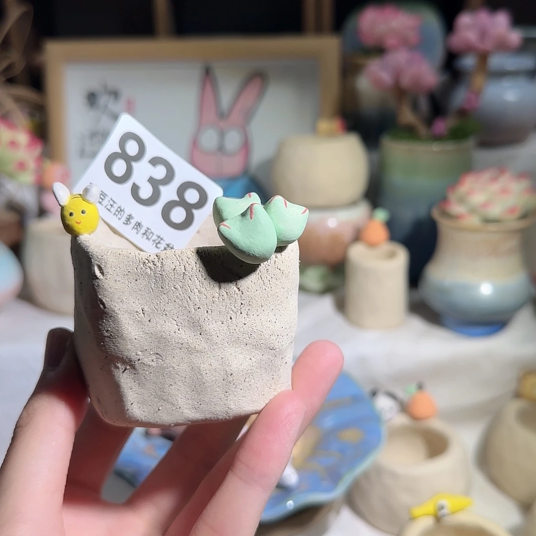 838 口5 瑕疵特惠 非偏远两单包邮