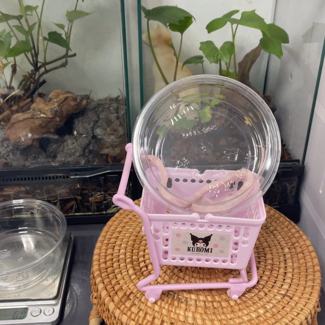白色蚕宝宝辣条包邮包开食包15售后