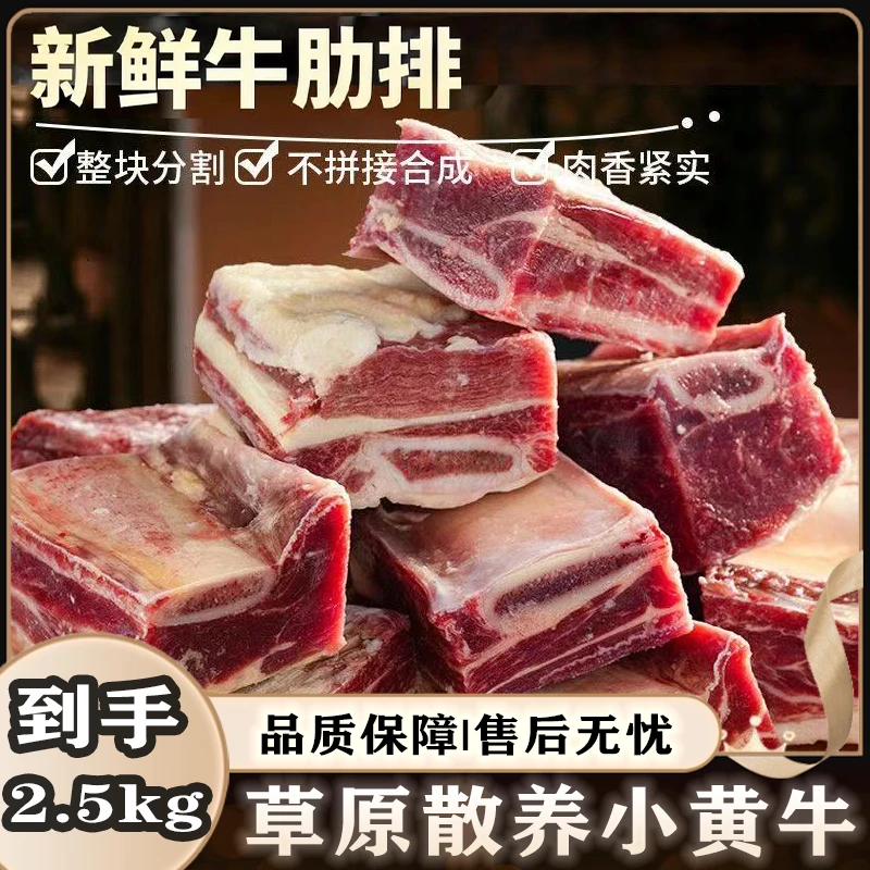 精选【5斤】草原黄牛肋排 中排中段 清炖红烧1