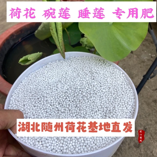 荷花碗莲睡莲肥料【匠心莲苑】盆栽荷花专用硫酸钾复合肥